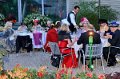 Barocksommer   093